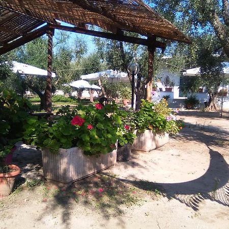Casa Vacanza Fiorella Torre dell'Orso Kültér fotó