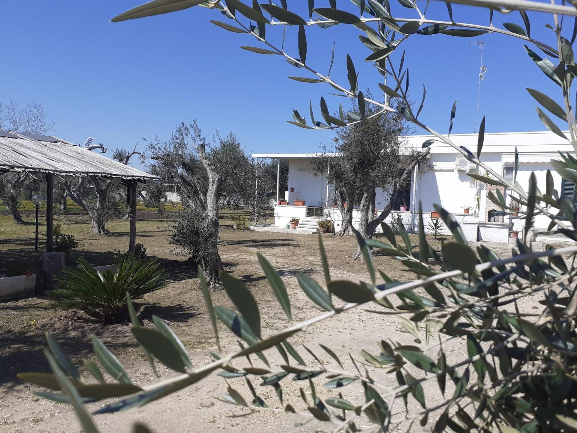Casa Vacanza Fiorella Torre dell'Orso Szoba fotó