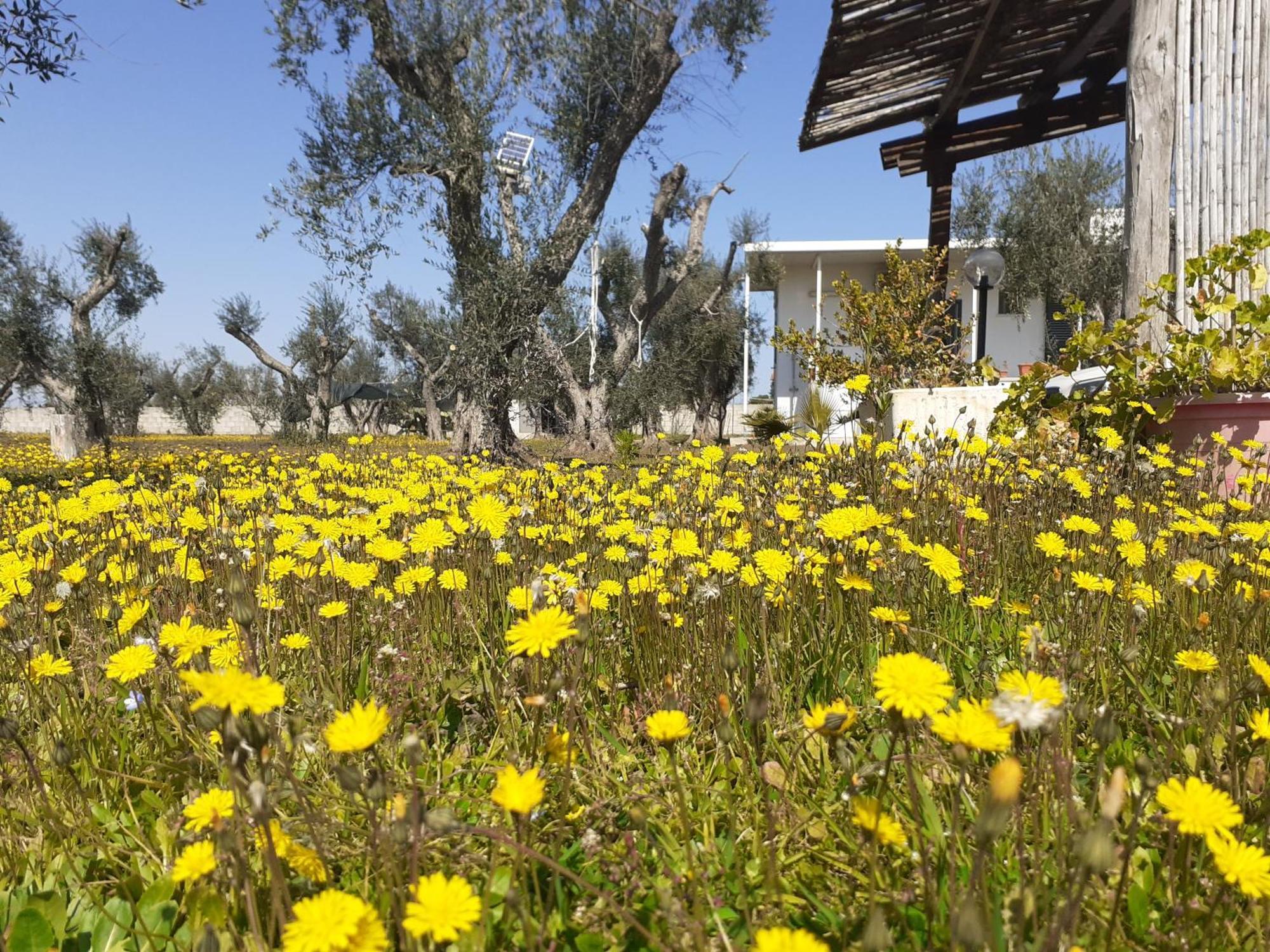Casa Vacanza Fiorella Torre dell'Orso Szoba fotó
