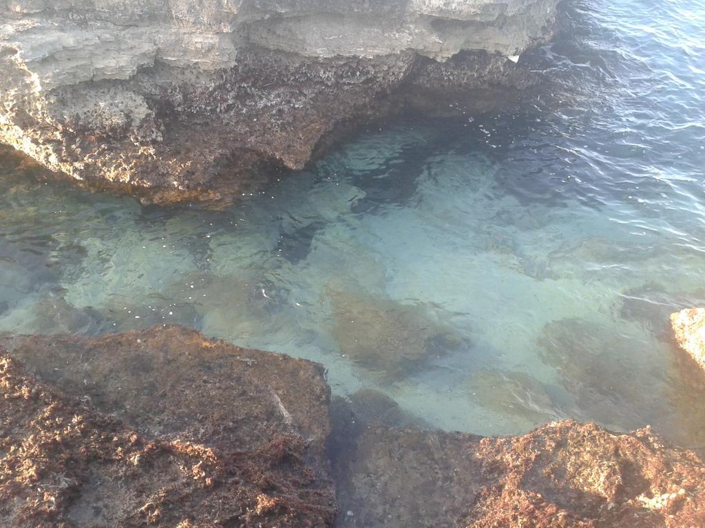 Casa Vacanza Fiorella Torre dell'Orso Kültér fotó